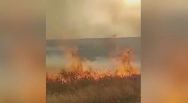 PKK/YPG, Fırat'ın doğusunda havan atışıyla tarım arazilerini yakıyor