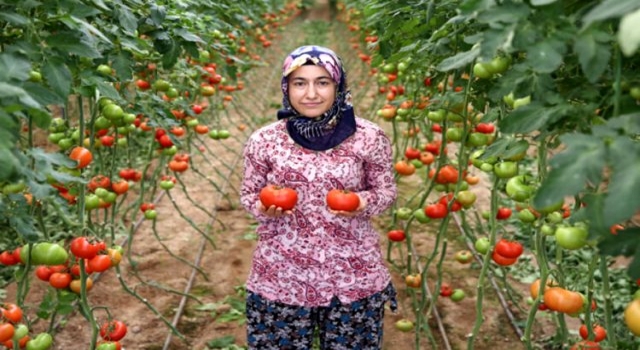 Eşinin dolandırıldığı mesaj girişimci kadına ilham kaynağı oldu! Şimdilerde 2 dönümlük seraya sahip