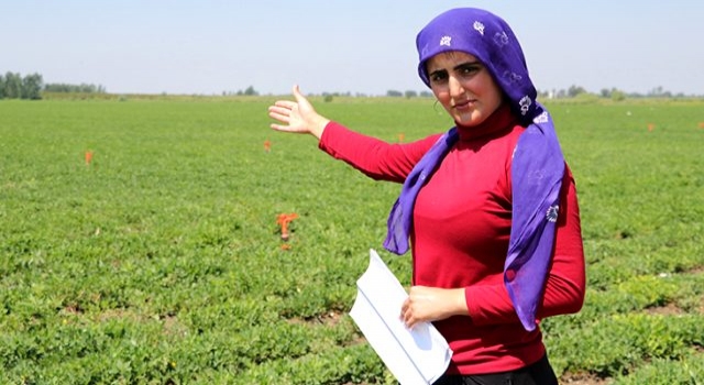 Zübeyde'nin çiftçilik hayalini kabusa çevirdiler! Önce taciz edildi sonra darp