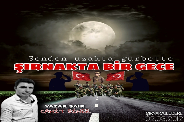 ŞIRNAKTA BİR GECE