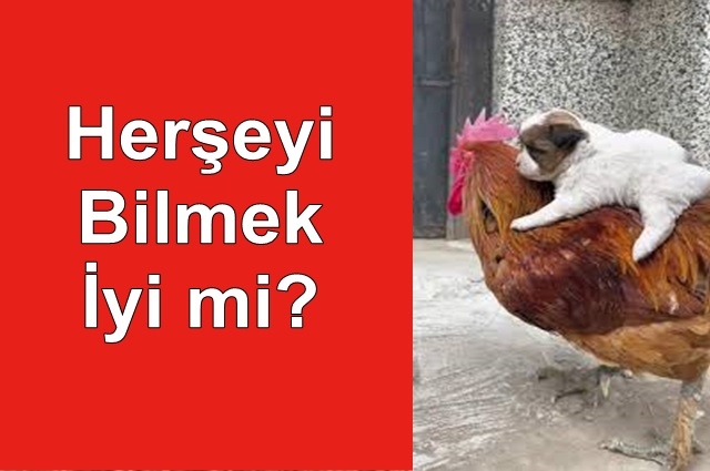 Herşeyi Bilmek İyi mi?