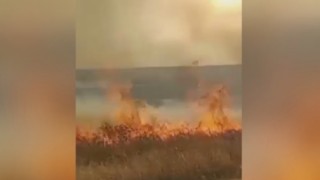 PKK/YPG, Fırat'ın doğusunda havan atışıyla tarım arazilerini yakıyor