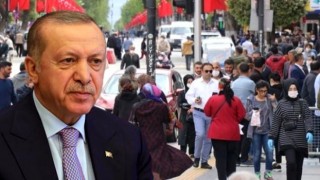 Erdoğan'ın masasındaki koronavirüs aşısı anketinden "yerli ve milli" cevabı çıktı