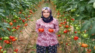 Eşinin dolandırıldığı mesaj girişimci kadına ilham kaynağı oldu! Şimdilerde 2 dönümlük seraya sahip