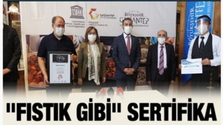 Fıstık gibi Sertifika