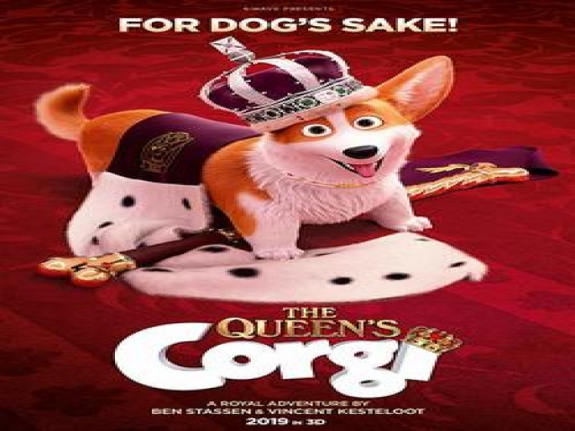 Corgi - The Queen's Corgi 2019